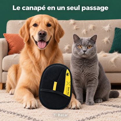 Gant ramasse-poils — les poils du canapé partent dès le premier passage
