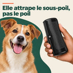 Brosse à sous-poil — les poils morts partent avant de tomber chez vous
