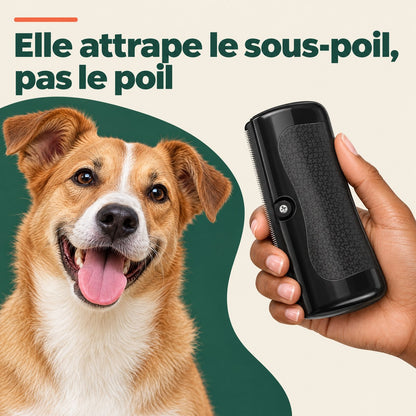 Brosse à sous-poil — les poils morts partent avant de tomber chez vous