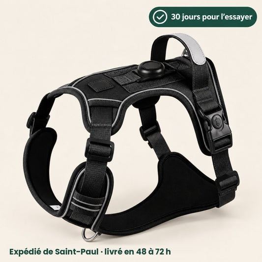 Harnais anti-traction noir pour chien, avec anneau au poitrail et poignée sur le dos