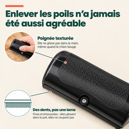 Brosse à sous-poil — les poils morts partent avant de tomber chez vous