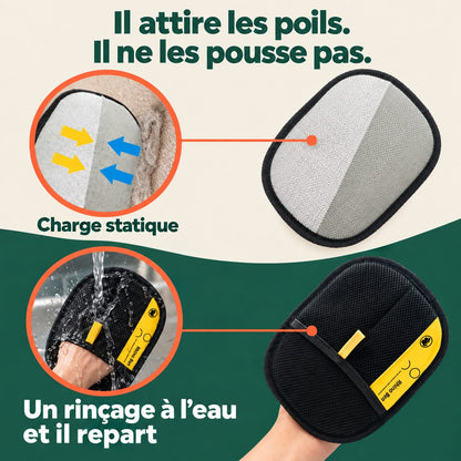 Gant ramasse-poils — les poils du canapé partent dès le premier passage