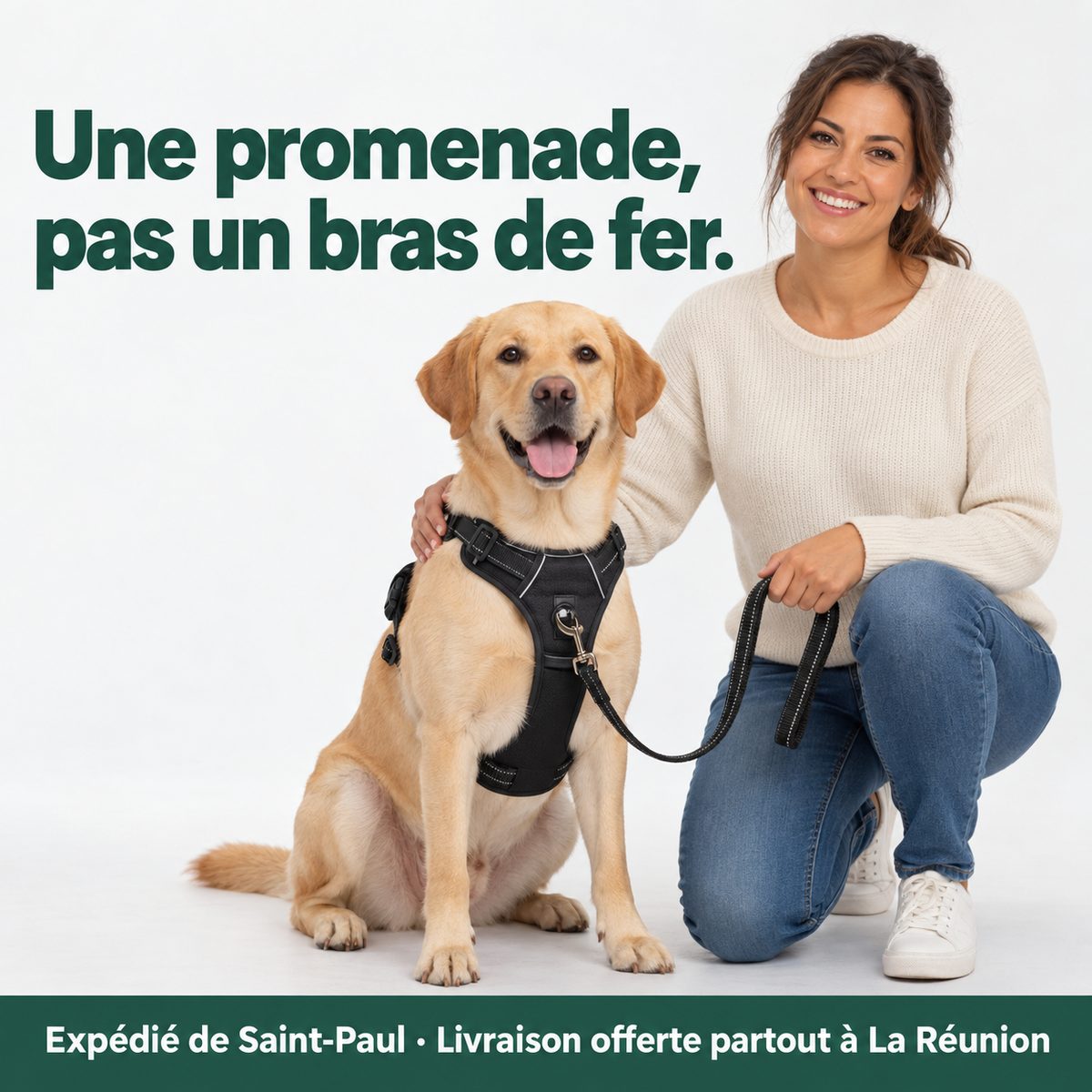 Femme accroupie à côté d'un labrador qui porte le harnais anti-traction