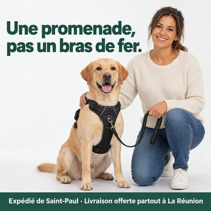 Femme accroupie à côté d'un labrador qui porte le harnais anti-traction