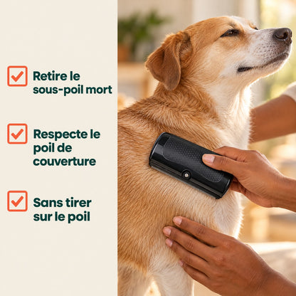 Brosse à sous-poil — les poils morts partent avant de tomber chez vous