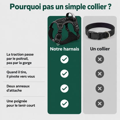 Comparatif entre le harnais anti-traction et un simple collier