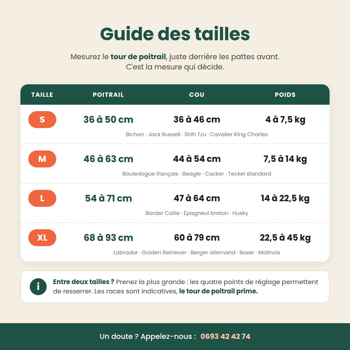 Guide des tailles du harnais : tour de poitrail, tour de cou et poids, de S à XL