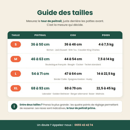 Guide des tailles du harnais : tour de poitrail, tour de cou et poids, de S à XL